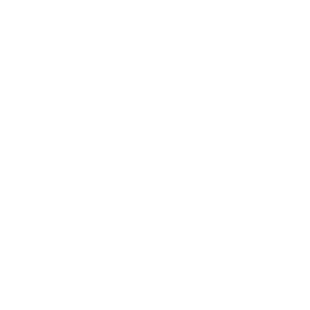 Social Icon - Instagram